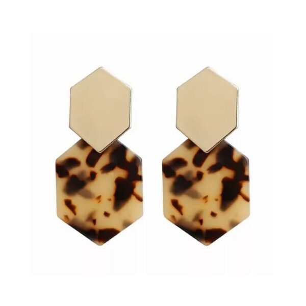 Fashion Hexagon Earrings - Image 6